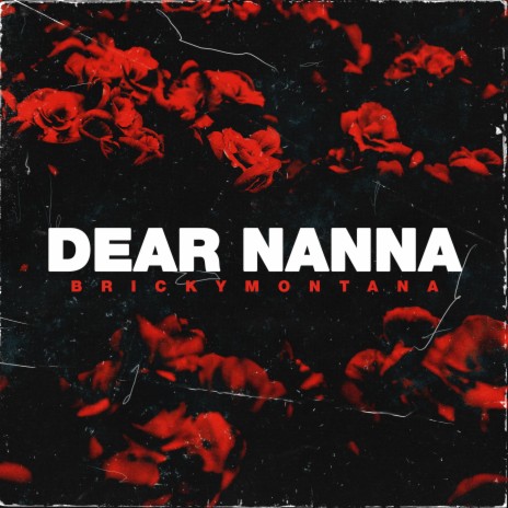 DEAR NANNA | Boomplay Music