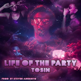 Life Of The Party lyrics | Boomplay Music