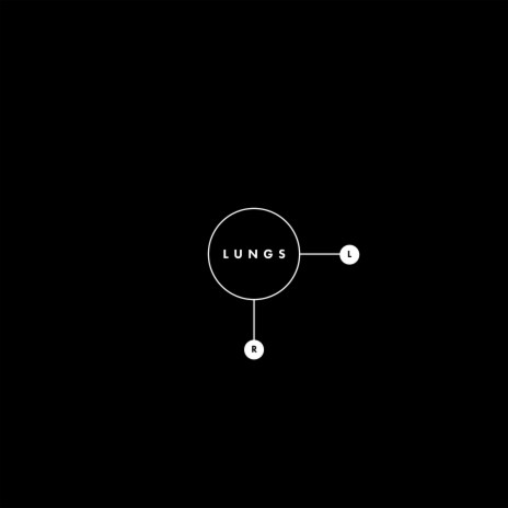 Lungs [Edit] | Boomplay Music