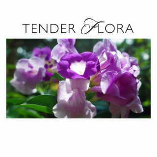 Tender Flora