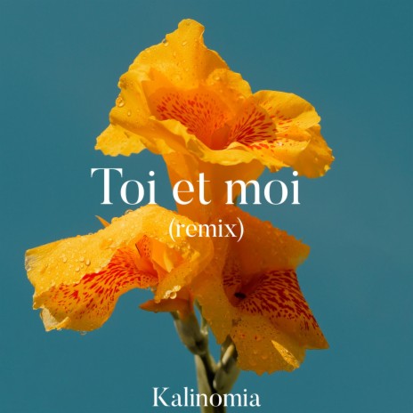 Toi et moi (Remix) | Boomplay Music