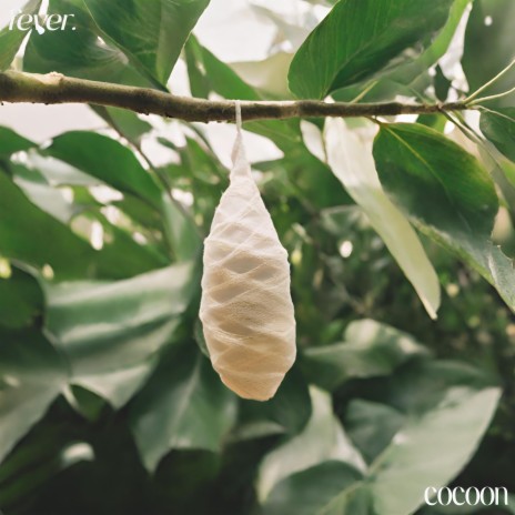 cocoon