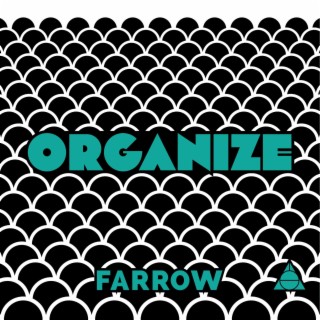 Organize