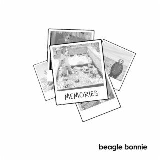 Beagle Bonnie