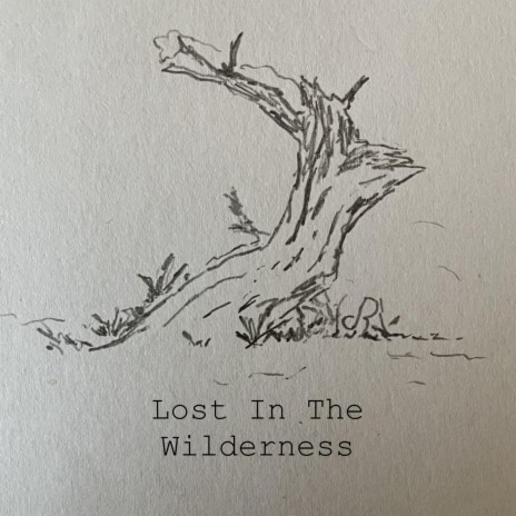 Lost In The Wilderness | Boomplay Music