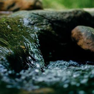 Near A Flowing River