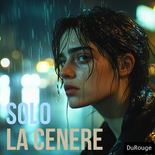 Solo la cenere