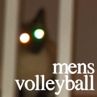 mens volleyball