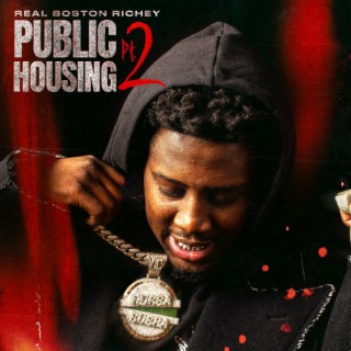 Public Housing, Pt. 2 | Boomplay Music