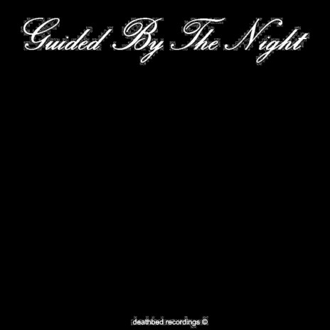 Guided By The Night | Boomplay Music