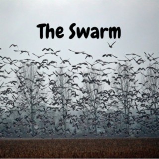 The Swarm