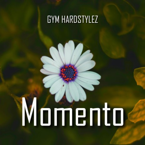 Momento (Hardstyle)