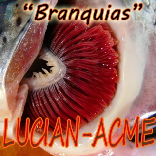 Branquias