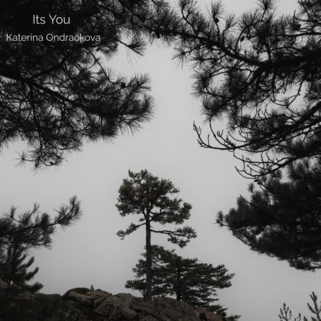 Its You | Boomplay Music