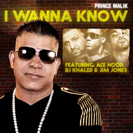 I Wanna Know (Remix) [feat. DJ Khaled, Ace Hood & Jim Jones] | Boomplay Music