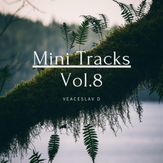 Mini Tracks, Vol. 8