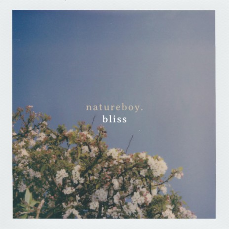 bliss | Boomplay Music