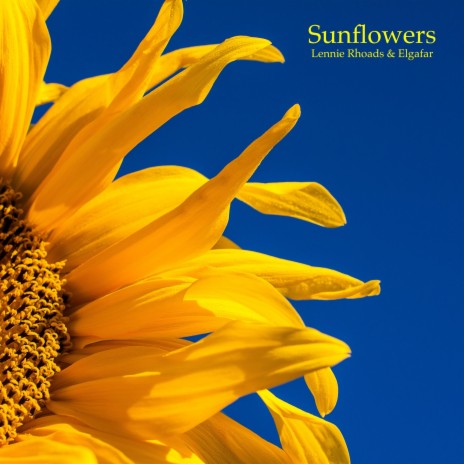 Sunflowers ft. Elgafar | Boomplay Music
