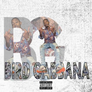 Bird Gabbana