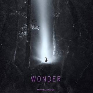 WONDER lyrics | Boomplay Music