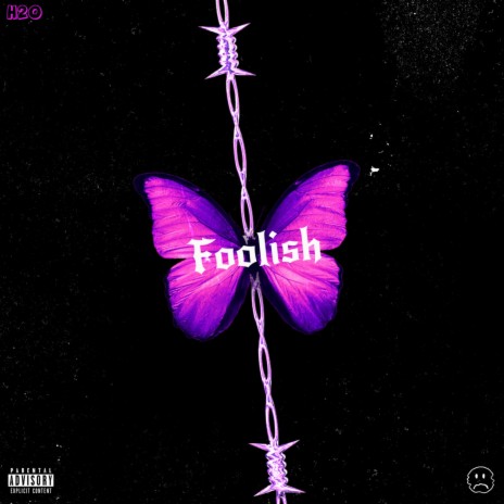 Foolish | Boomplay Music