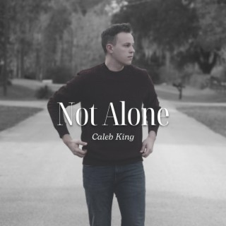 Not Alone lyrics | Boomplay Music