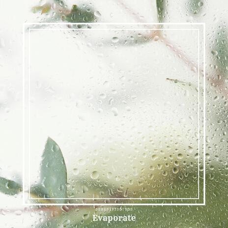 Evaporate | Boomplay Music