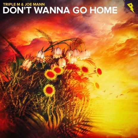 Don't Wanna Go Home (Extended Mix) ft. Joe Mann | Boomplay Music