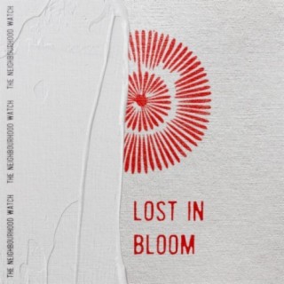 Lost in Bloom
