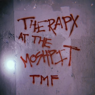 Therapy at the Mosh Pit