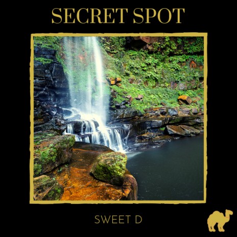 Secret Spot | Boomplay Music