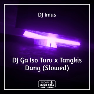 DJ Ga Iso Turu x Tangkis Dang (Slowed)