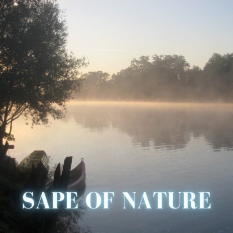 Sape of Nature | Boomplay Music