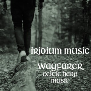 Wayfarer (Celtic Harp Music)