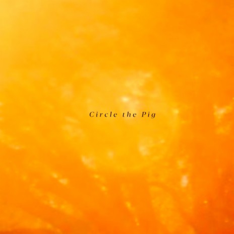 Circle the Pig | Boomplay Music