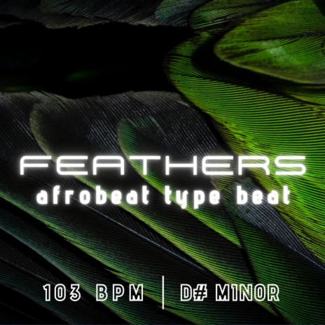 Feathers (Instrumental) | Boomplay Music