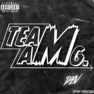 TEAM AMG