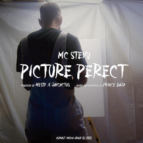 Picture Perfect ft. Westy & Jay Cactus | Boomplay Music