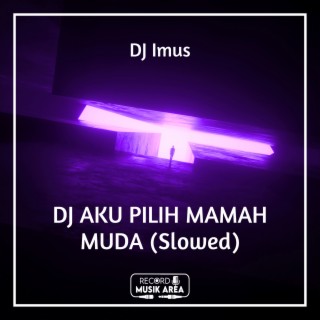 DJ AKU PILIH MAMAH MUDA (Slowed)