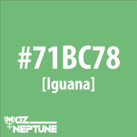 Iguana (Radio Edit) | Boomplay Music