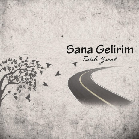 Sana Gelirim | Boomplay Music