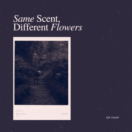 Same Scent, Different Flowers | Boomplay Music