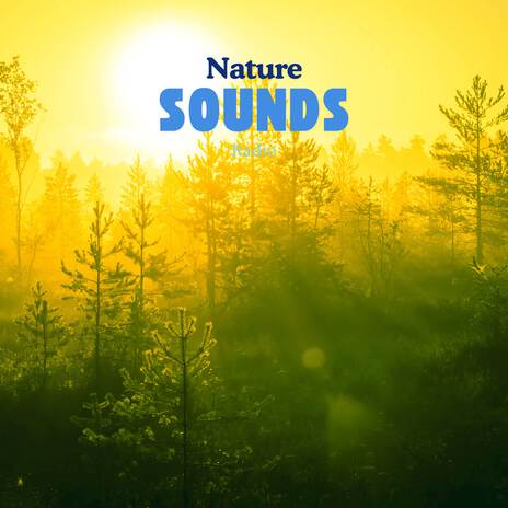 Nature's Glow | Boomplay Music