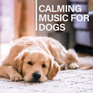 Music For Pets