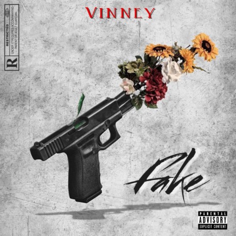 Fake | Boomplay Music