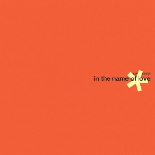 IN THE NAME OF LOVE
