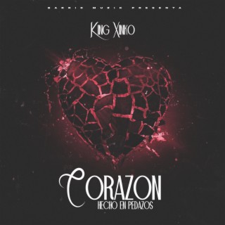 Corazon Echo En Pedazos