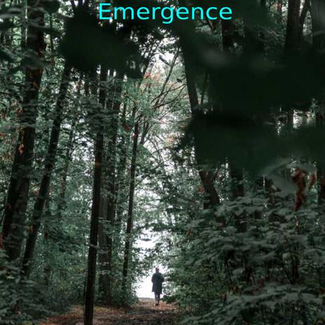 Emergence