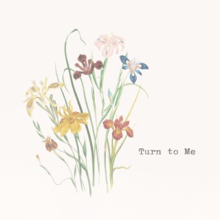 Turn to Me lyrics | Boomplay Music