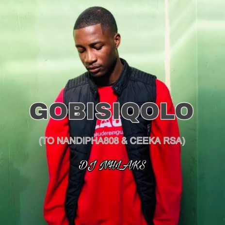 Gobisiqolo (To Nandipha 808 X Ceeka RSA) | Boomplay Music